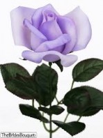 Arna G Smith