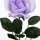 Arna G Smith