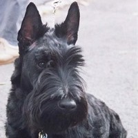 Taura Macken
