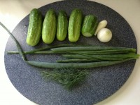 Inesa Makaras