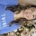 Princess Canlas Styles