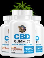 Niva CBD Gummies
