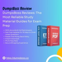 DumpsBoss  Reviews