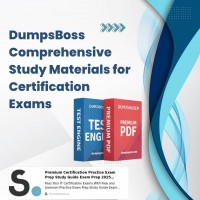 DumpsBoss Review
